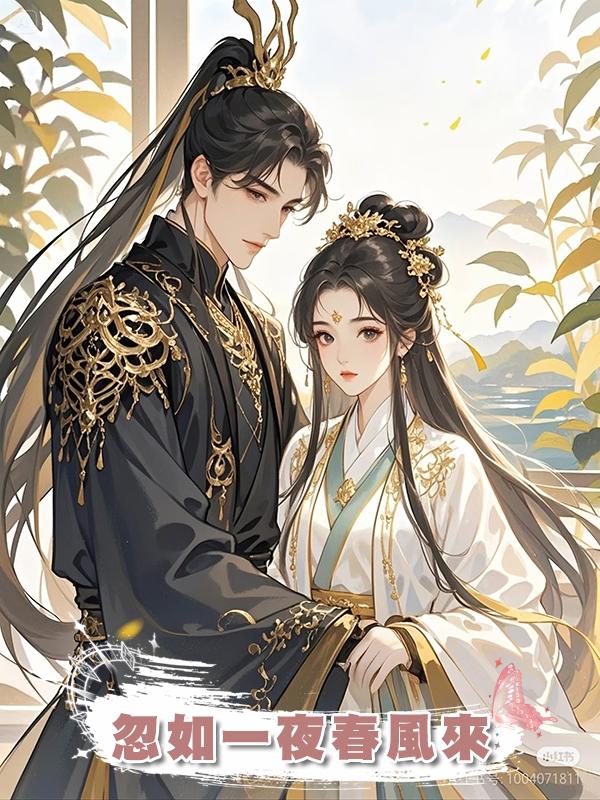 忽如一夜春風來在線閱讀
