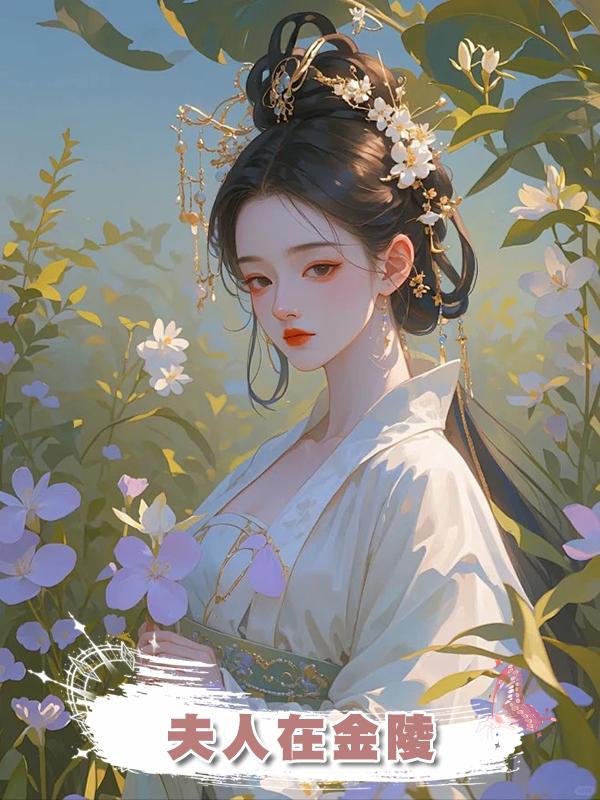 夫人在金陵在線閱讀